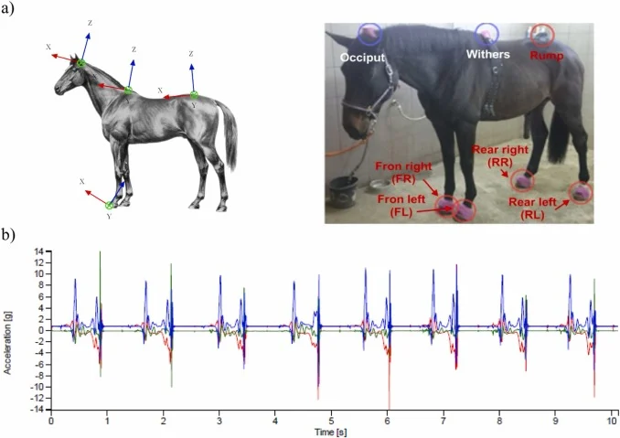 Horse Health and Stability Analysis for Race Prediction application